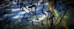 “Luminescenza“  2015 , opera  fotografica Fine Art su carta cotone   100 x 40 € 1900.00 77.jpg