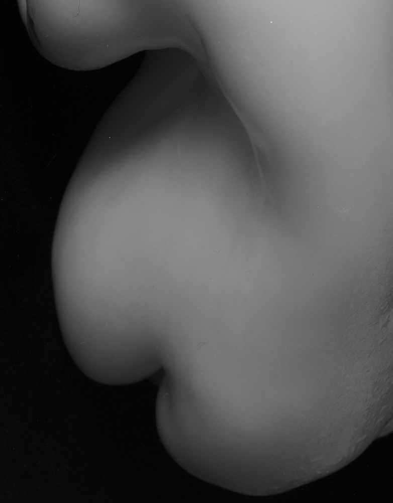 1013/5.jpg